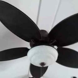 Hunter In Door Or Out Door Fan With REMOTE