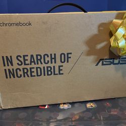 ASUS Chromebook 