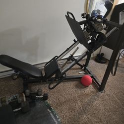 Leg Press Gym