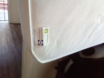 Sealy baby crib mattress