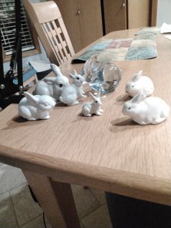 Rabbit Collection