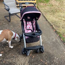 Safety First Stroller