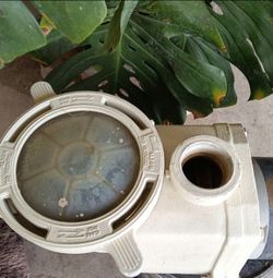 Pentair pump
