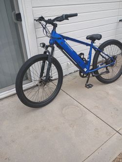 Schwinn beach cruiser