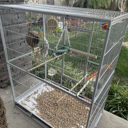 Bird Cage / Jaula De Pajaros