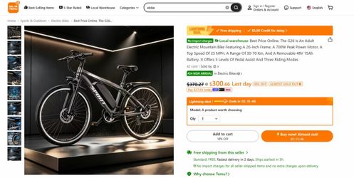 NEW in the BOX Electric mountain bike