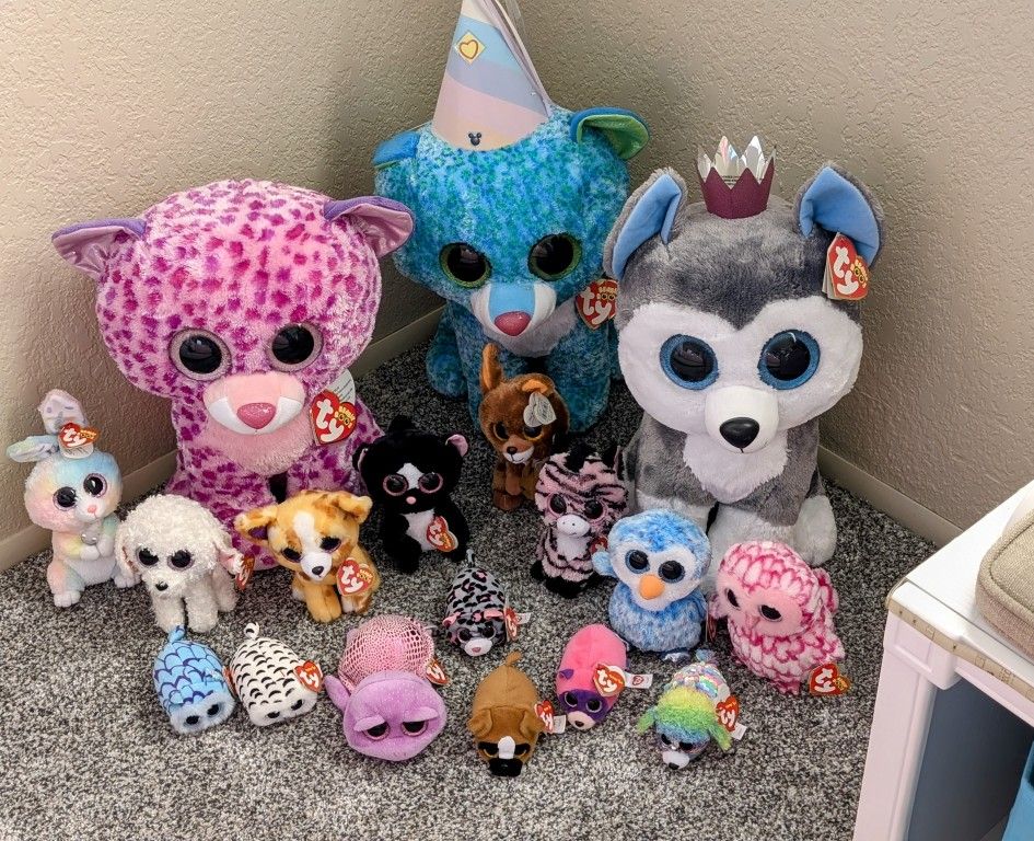 So Many Ty's