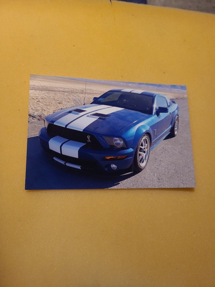 2008 Ford Shelby Gt500