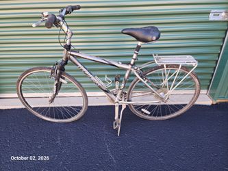 Trek Hybrid City Bike with Rear Rack
