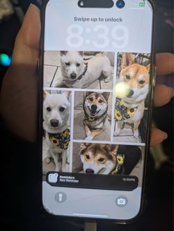 Apple iPhone 16 Pro Max - Gold - 256GB - Unlocked