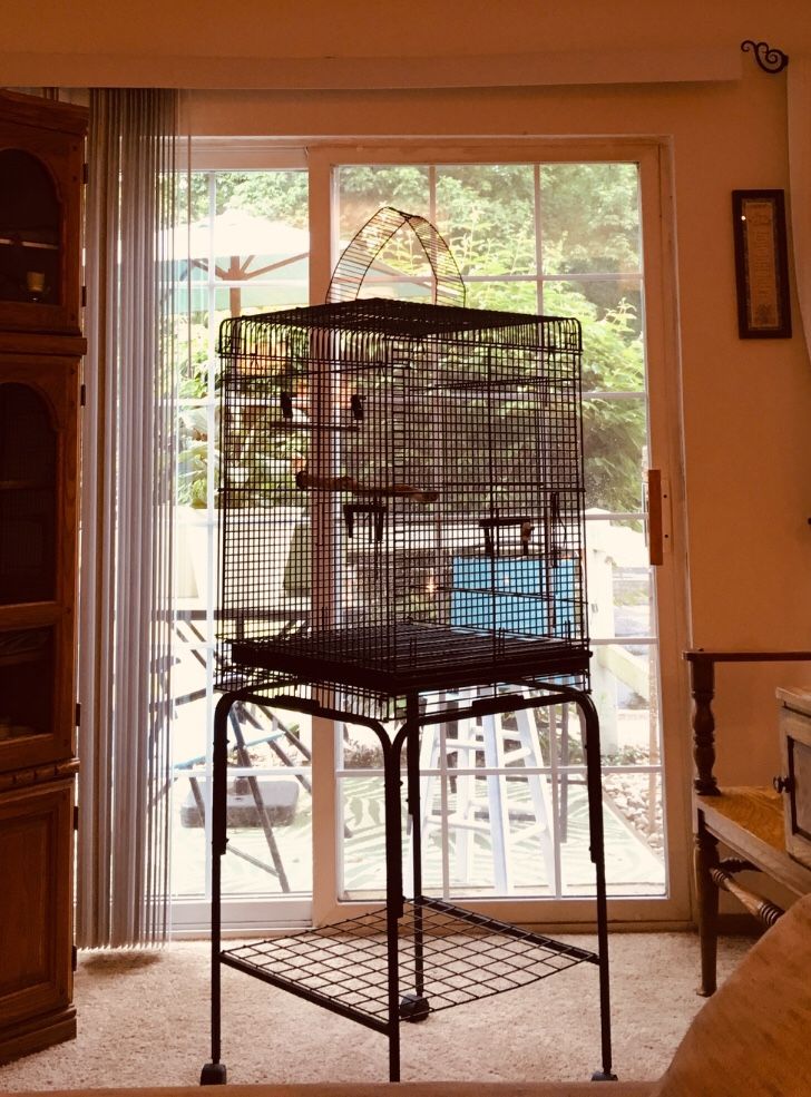 Like new Bird Cage with Stand !!