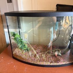 Glass Aquarium 