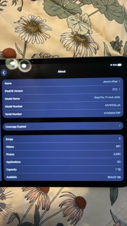 iPad Pro 11 inch