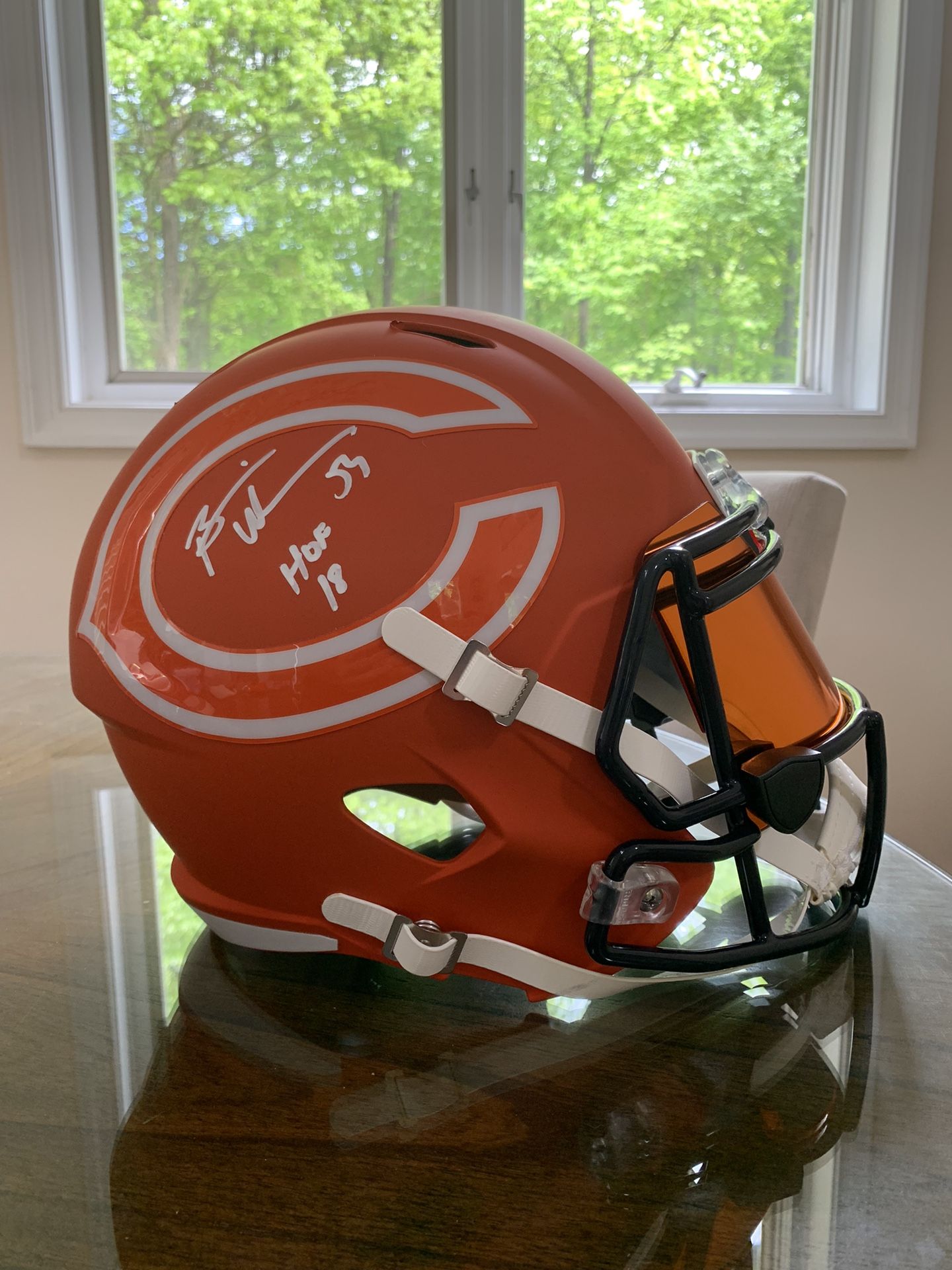Brian Urlacher FS Rep Helmet