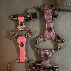 Double Dog Leash With Retract Leads. And Harnesses