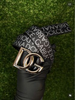 D&G belt