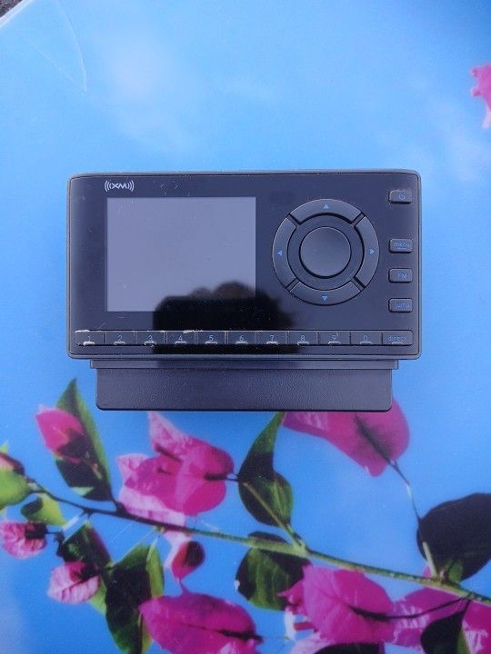 Sirius XM Model: XDPIV2