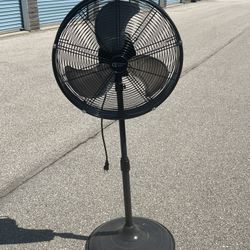 Fan