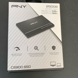 pny 250gb ssd