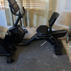 Schwinn Recumbent Bike 290