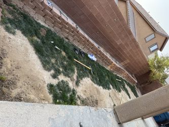 Synthetic Turf