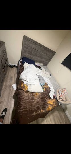 Gray Wood Panel bedroom set