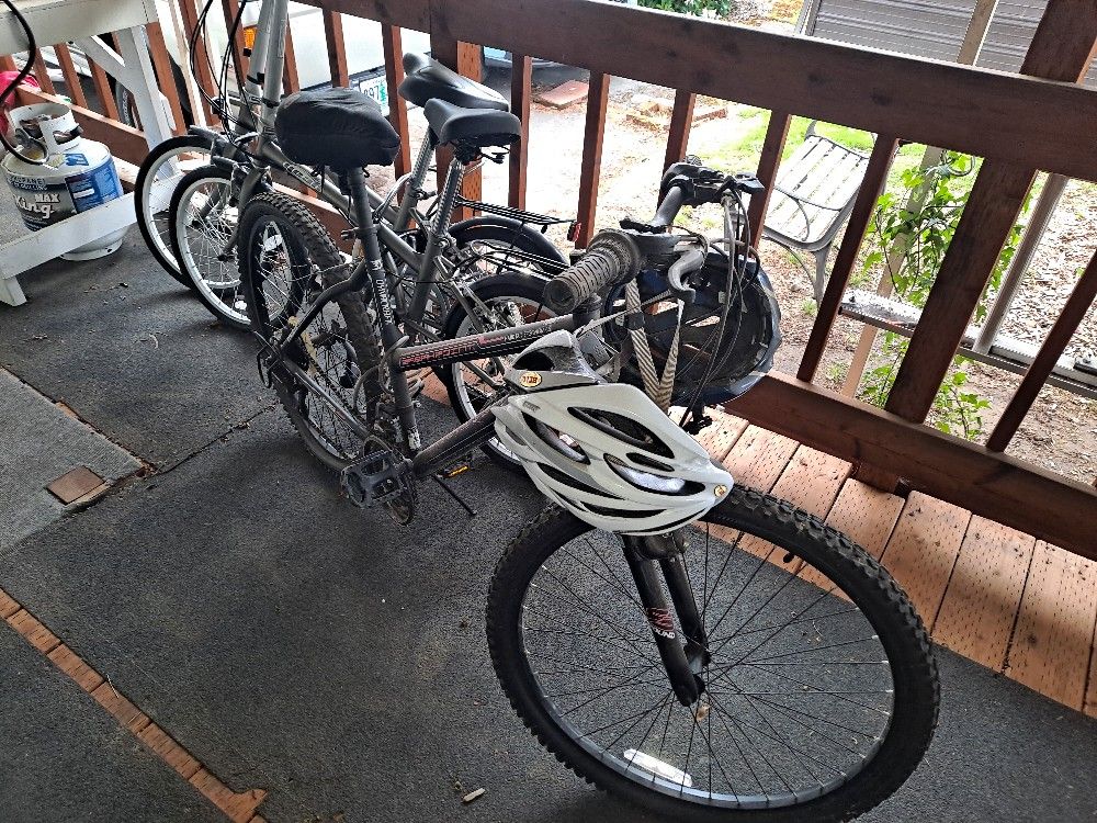 Folding Bike