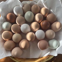 Farm fresh Eggs
