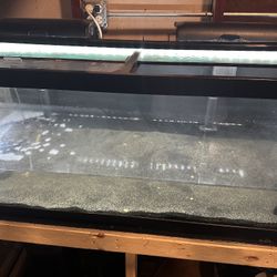 75gallon Tank +Extras