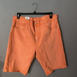 Levis Shorts MENS Size 38