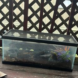 great Size, Starter Reptile Tank/fish Tank 