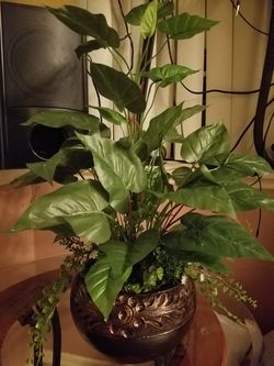 Artificial Plant New🌿🌱