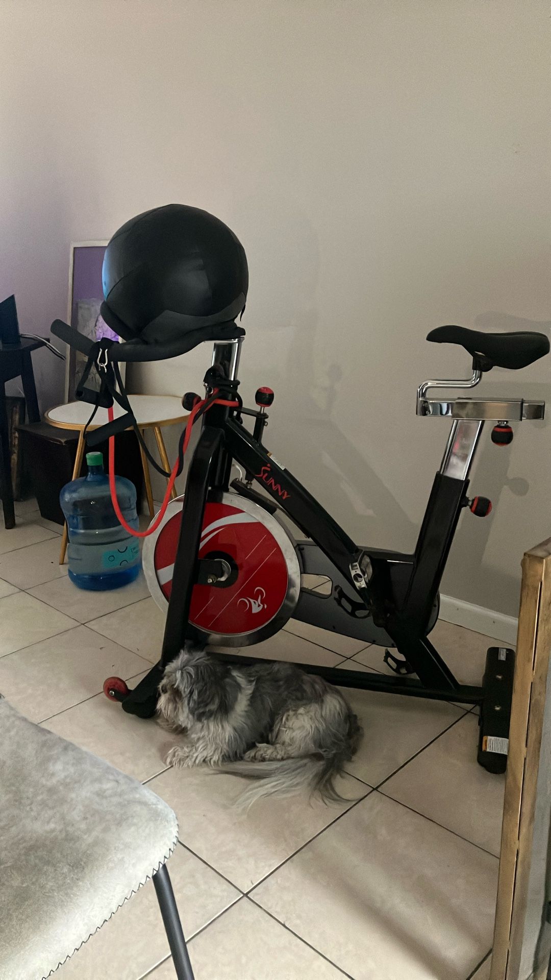 Sunny Exercise Bike And 20lb P90x Medicine Ball
