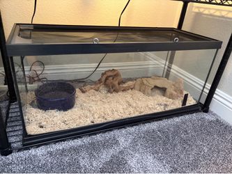 Reptile tank 20 gallons