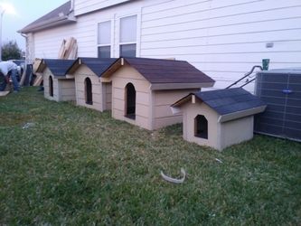 Dog houses