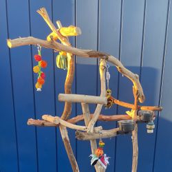 Macaw Perch Tree… Thick and Curvy … A Great Socializer For Mr Gnarly!! 👍🏼