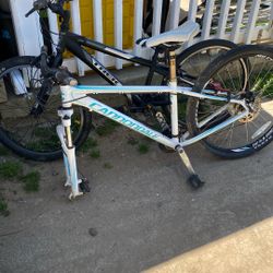 2 Bike Trek Connondale