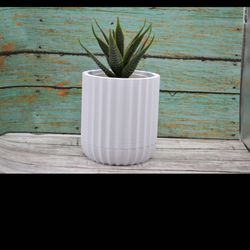 Small Table Plant Pot