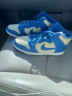NEW Nike Dunk High Next Nature Size 12