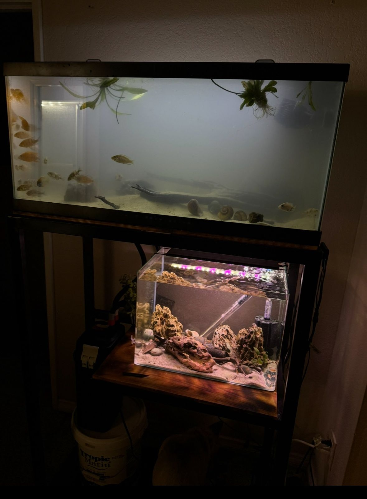 Dual Tank Stand