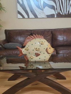 Large Size Display FIsh.