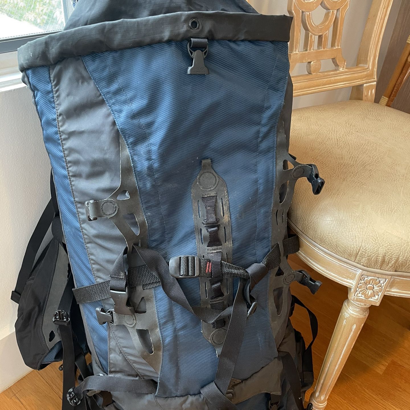 Eastern Mountain Sports Expedition Backpack