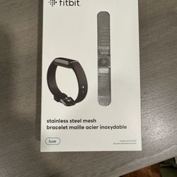Fitbit Luxe Metal Mesh Band Stainless Steel Band - Platinum