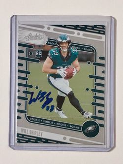 Panini