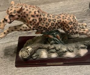 Collection Cheetah