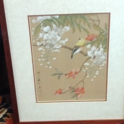 Yellow Bird White Wisteria 