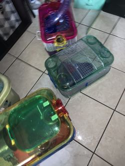 Mouse Cages