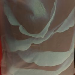 Blue Flower Shower Curtain