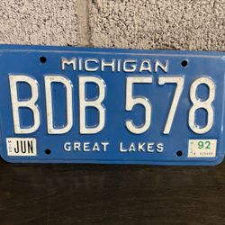 Michigan Great Lakes License Plate 