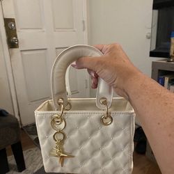 Mini Clutch Crème Gold 